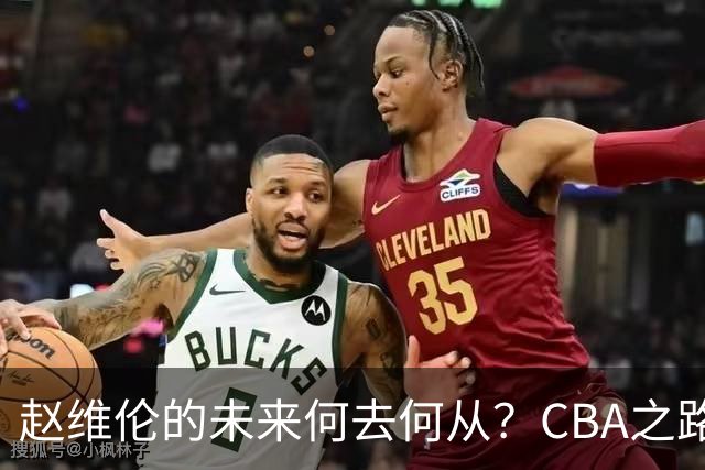 赵维伦的未来何去何从？CBA之路或是他唯一的出路